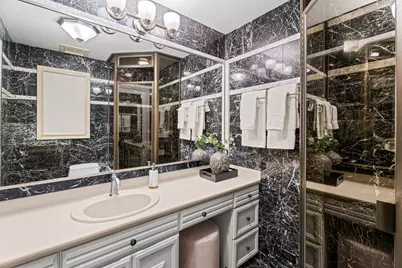 1000 N Lake Shore Plaza #49A, Chicago, IL 60611 - Photo 60