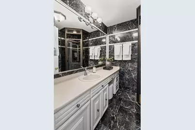 1000 N Lake Shore Plaza #49A, Chicago, IL 60611 - Photo 62