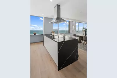 1000 N Lake Shore Plaza #49A, Chicago, IL 60611 - Photo 24