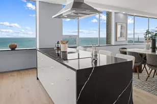 1000 N Lake Shore Plaza, Chicago, IL 60611 - Photo 24