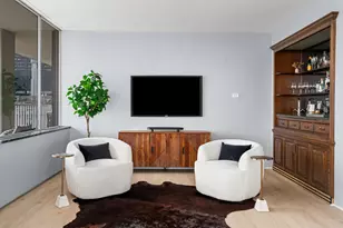 1000 N Lake Shore Plaza, Chicago, IL 60611 - Photo 12