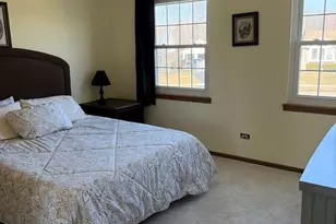 8111 Old Mill Rd, Frankfort, IL 60423 - Photo 18