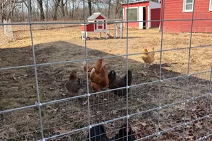 21186 Mathew Rd, Sterling, IL 61081 - Photo 44