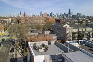 935 N Hermitage Ave, Chicago, IL 60622 - Photo 26