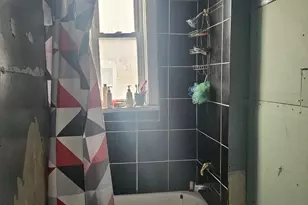 1010 N Ridgeway Ave, Chicago, IL 60651 - Photo 4