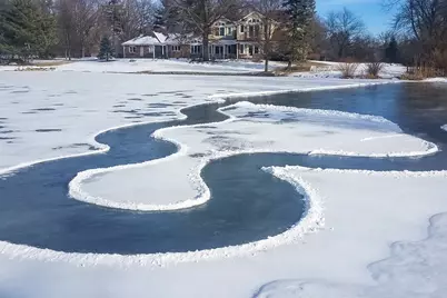 1620 Pheasant Trail, Inverness, IL 60067 - Photo 34