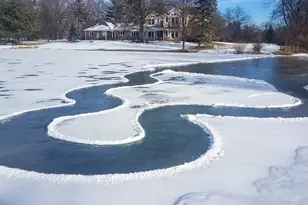 1620 Pheasant Trail, Inverness, IL 60067 - Photo 34