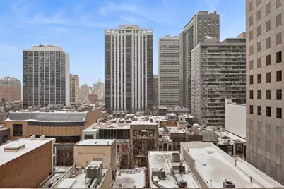 100 E Walton Street #11H, Chicago, IL 60611 - Photo 10