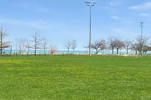 1354 W Greenleaf Ave, Chicago, IL 60626 - Photo 28