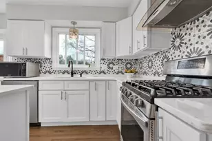 914 W Noyes St, Arlington Heights, IL 60005 - Photo 10