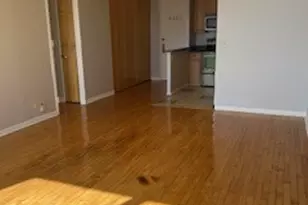 720 W Gordon Terrace, Chicago, IL 60613 - Photo 12