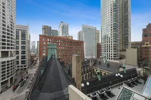 111 E Chestnut St, Chicago, IL 60611 - Photo 12