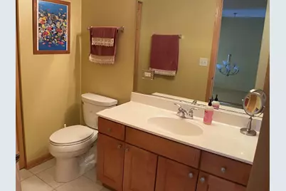 2450 Abbey Drive, Darien, IL 60561 - Photo 46