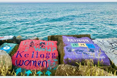 1720 Maple Avenue #780, Evanston, IL 60201 - Photo 32