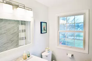 1045 Browning Ln, Lake Zurich, IL 60047 - Photo 26