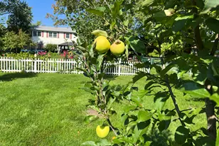 1045 Browning Ln, Lake Zurich, IL 60047 - Photo 44