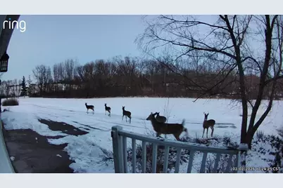 19905 State Line Road, Harvard, IL 60033 - Photo 44