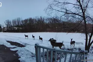 19905 State Line Rd, Harvard, IL 60033 - Photo 44