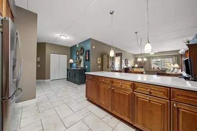 10 N Gilbert Street #314, South Elgin, IL 60177 - Photo 4