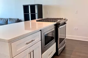 50 E 16th St, Chicago, IL 60616 - Photo 4