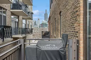 222 S Racine Ave, Chicago, IL 60607 - Photo 18