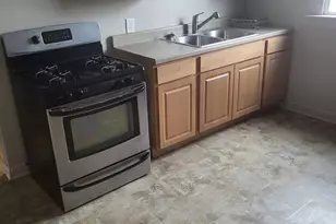 1123 S Mason Ave, Chicago, IL 60644 - Photo 4