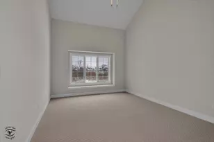 8893 Buffington Breakwater Dr, Frankfort, IL 60423 - Photo 44