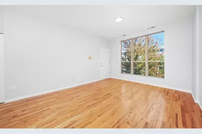 317 E 25th Street #3E, Chicago, IL 60616 - Photo 4