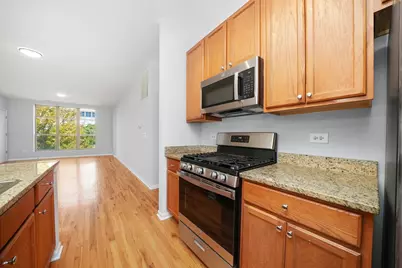 317 E 25th Street #3E, Chicago, IL 60616 - Photo 12