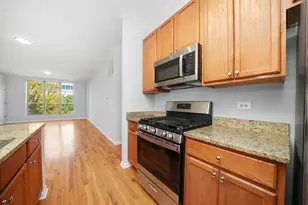 317 E 25th St, Chicago, IL 60616 - Photo 12