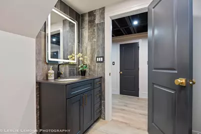 541 Braemar Avenue, Naperville, IL 60563 - Photo 66