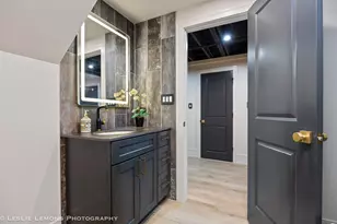 541 Braemar Ave, Naperville, IL 60563 - Photo 66