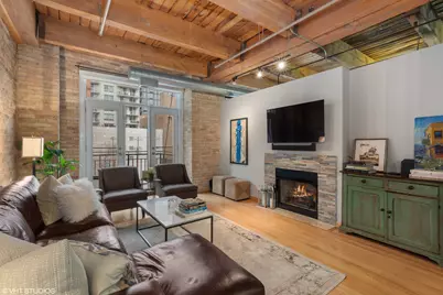 375 W Erie Street #301, Chicago, IL 60654 - Photo 4