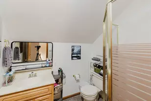 175 Oak Cir, Orangeville, IL 62939 - Photo 74