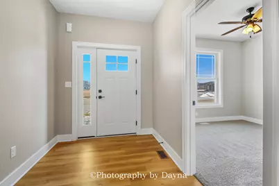 392 White Hawk Way, Manteno, IL 60950 - Photo 4