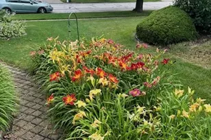 20W481 Westminster Dr, Downers Grove, IL 60516 - Photo 36