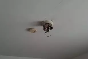 3048 N Marmora Ave, Chicago, IL 60634 - Photo 12