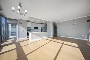 100 E 14th St, Chicago, IL 60605 - Photo 6