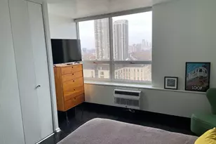 70 W Burton Pl, Chicago, IL 60610 - Photo 18