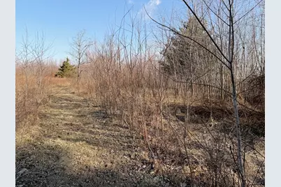 5179 Wright Road, Alma, IL 62807 - Photo 6