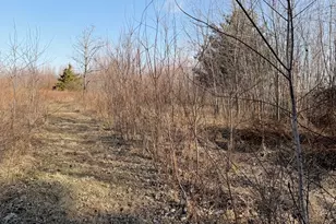 5179 Wright Rd, Alma, IL 62807 - Photo 6