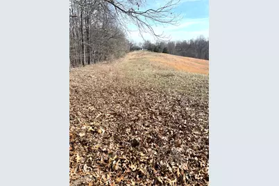 3085 Kaolin Road, Cobden, IL 62920 - Photo 82