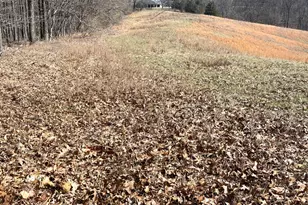 3085 Kaolin Rd, Cobden, IL 62920 - Photo 82