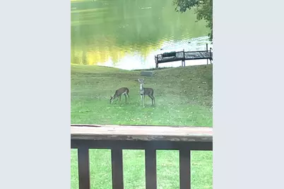 3085 Kaolin Road, Cobden, IL 62920 - Photo 54