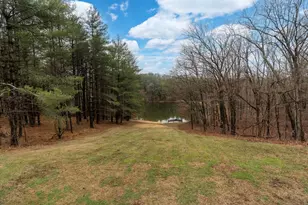 3085 Kaolin Rd, Cobden, IL 62920 - Photo 40