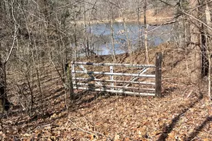 3085 Kaolin Rd, Cobden, IL 62920 - Photo 74