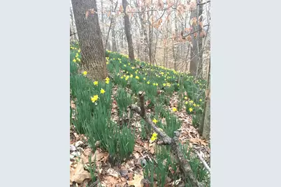 3085 Kaolin Road, Cobden, IL 62920 - Photo 66