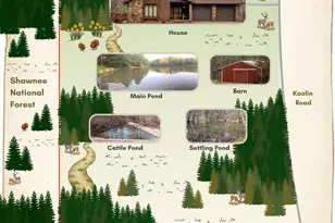 3085 Kaolin Rd, Cobden, IL 62920 - Photo 86