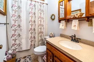 3085 Kaolin Rd, Cobden, IL 62920 - Photo 24