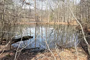 3085 Kaolin Rd, Cobden, IL 62920 - Photo 76